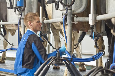 Melkstandsysteme Melkstandsysteme